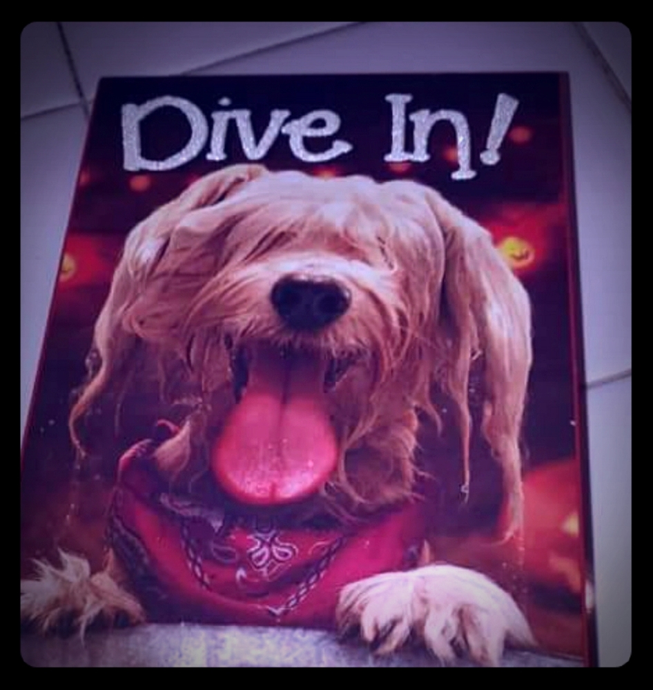 Dog Canvas Frame, NEW